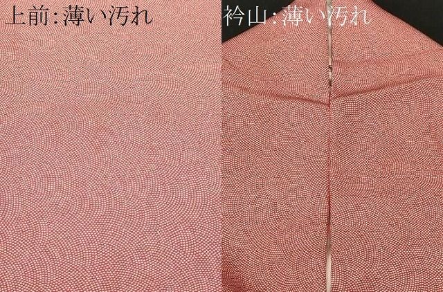 平和屋着物■江戸小紋 鮫小紋柄 正絹 逸品 CABN1922ev
