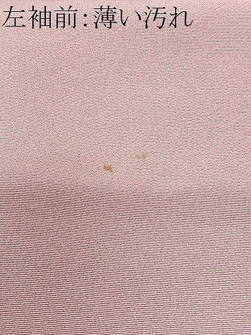 平和屋着物■訪問着 風景文 正絹 逸品 CABN2123xe