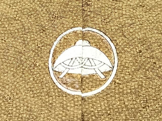 平和屋着物■本草木染作家 圓啓 江戸小紋 鮫小紋柄 正絹 逸品 CABN2150xe