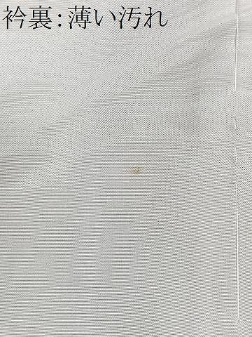 平和屋着物■上質な紬 霞文 正絹 逸品 CABN2247xe