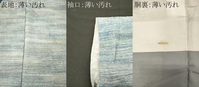 平和屋着物■上質な小紋 霞文 正絹 逸品 CABN4436ou