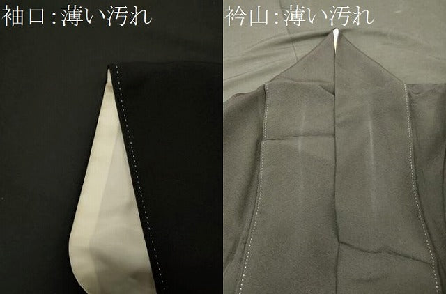 平和屋着物■豪華黒留袖 作家物 雅百景 桂浜 暈し染め 金彩 正絹 逸品 CABN4481oy