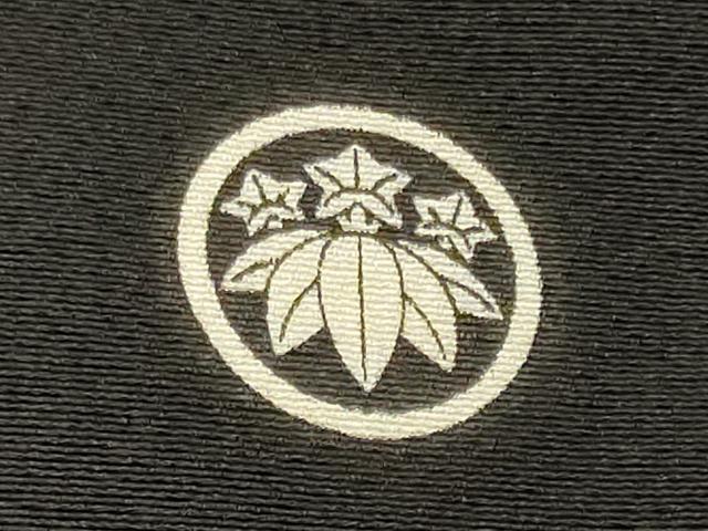 平和屋着物■豪華黒留袖 作家物 雅百景 桂浜 暈し染め 金彩 正絹 逸品 CABN4481oy