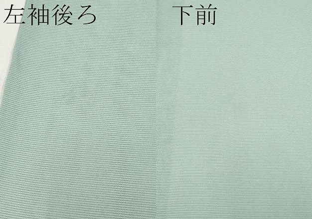 平和屋着物*夏物 訪問着 絽 手描き 草花文 暈し染め 金銀彩 正絹 逸品 CABN5847tx