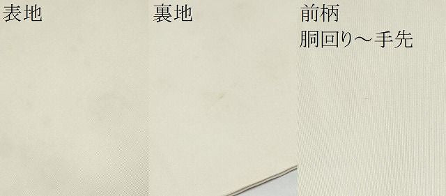 平和屋着物●塩瀬 九寸名古屋帯 作家物 枝牡丹 金彩 正絹 逸品 CABN8060hy