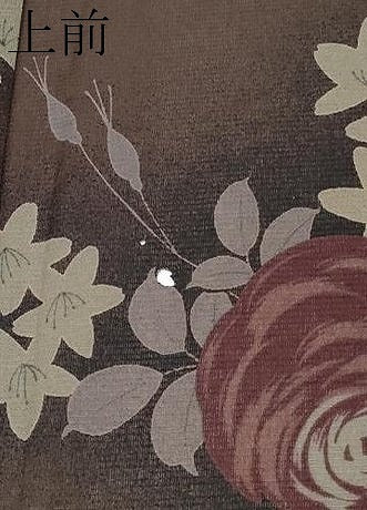 平和屋着物∴極上 夏物 撫松庵 小紋・浴衣兼用 セオアルファ 枝花文 赤墨色地 洗える着物 逸品 CYAA3801s5