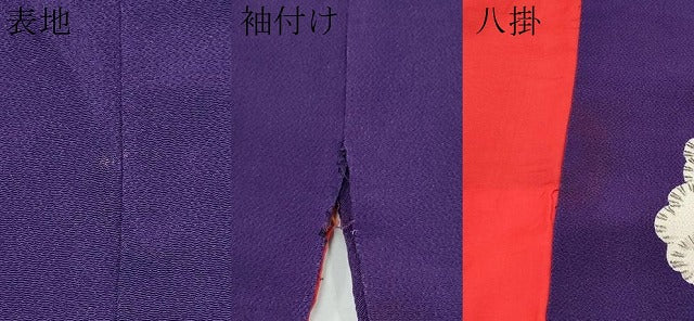 平和屋着物●極上 アンティーク 大正ロマン 中国三大刺繍 相良刺繍 振袖 枝松文 金糸 鬼しぼ縮緬 深紫色地 逸品 CYAA4167s6