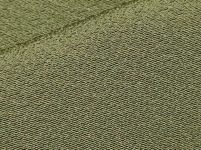 平和屋着物●極上 色無地 海松色 逸品 CYAA4372s6