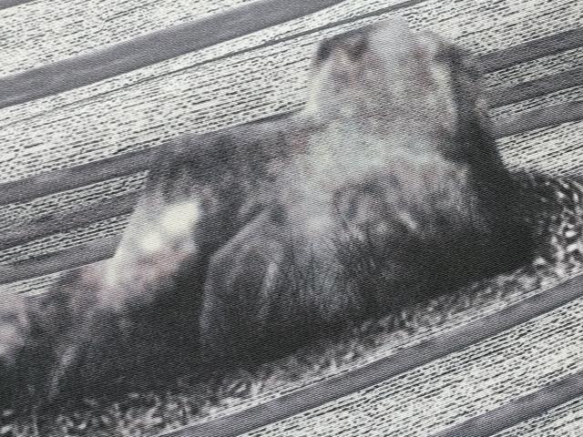 平和屋着物●極上 樋口敦也 訪問着 手描き 石庭文 白地 逸品 CYAA4742s6