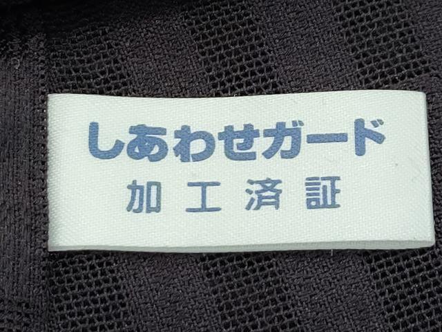 平和屋本店*極上 男性 夏物 色無地 紋紗 黒紅色 逸品 CZAA2078s5