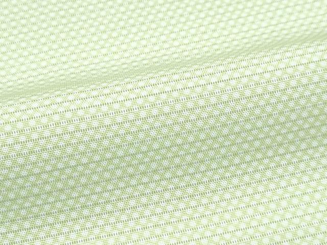 平和屋着物■極上 夏物 江戸小紋 絽 行儀 若菜色地 反端付き 逸品 未使用 CZAA2903s5