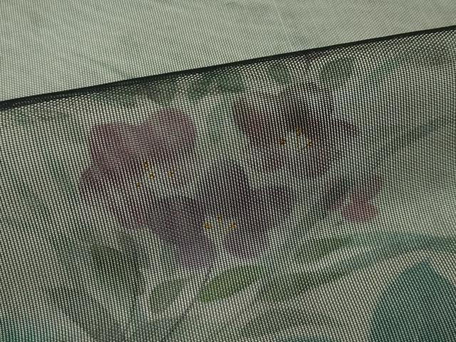 平和屋着物▽極上 訪問着 無双 紗袷 紗×紗 手描き 草花文 黒地 金彩 逸品 CZAA3775s5