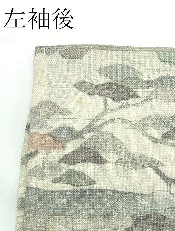 平和屋着物▽極上 生紬 単衣 風景文 逸品 未使用 CZAA4025s5