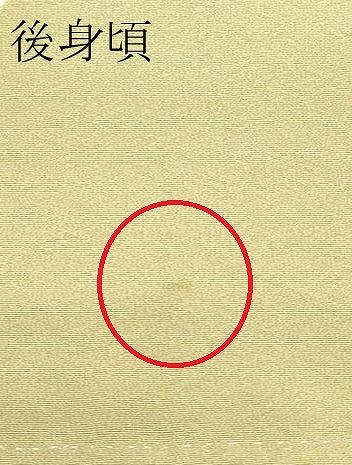 平和屋着物●極上 訪問着 立波花蝶文 金彩 木蘭色地 逸品 CZAA5295s6