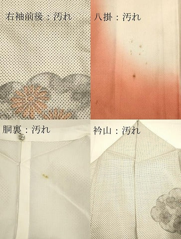 平和屋着物■本場大島紬 訪問着 手描き 雲取り立波花文 正絹 逸品 DAAO4773tw