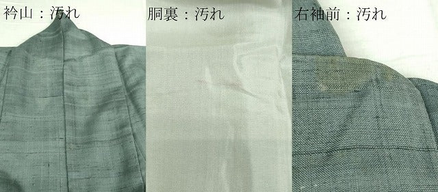 平和屋着物■訪問着 紬地 草花文 正絹 逸品 DAAO7155sf