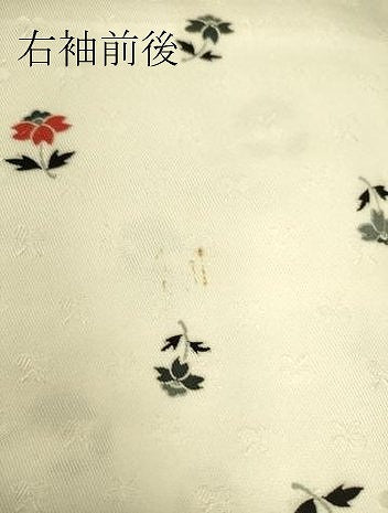 平和屋着物▽上質な小紋 単衣 草花文 正絹 逸品 DAAS0081az