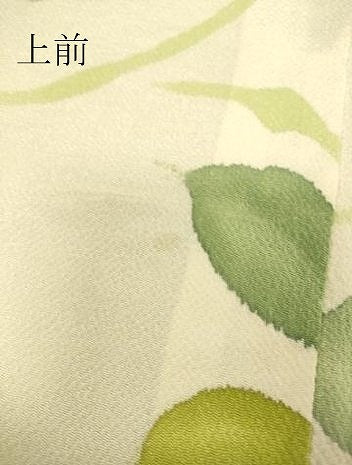 平和屋着物▽上質な小紋 単衣 草花文 手描き 鬼しぼ縮緬 正絹 逸品 DAAS0161az