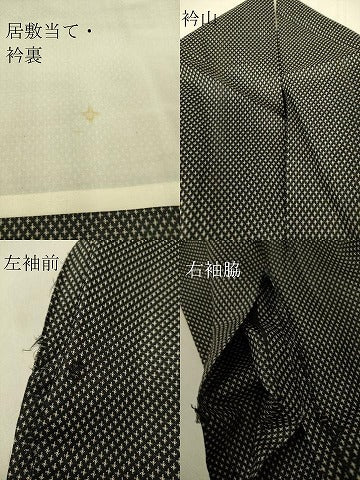 平和屋着物▽上質な紬 単衣 蚊絣 黒地 正絹 逸品 DAAS0529az