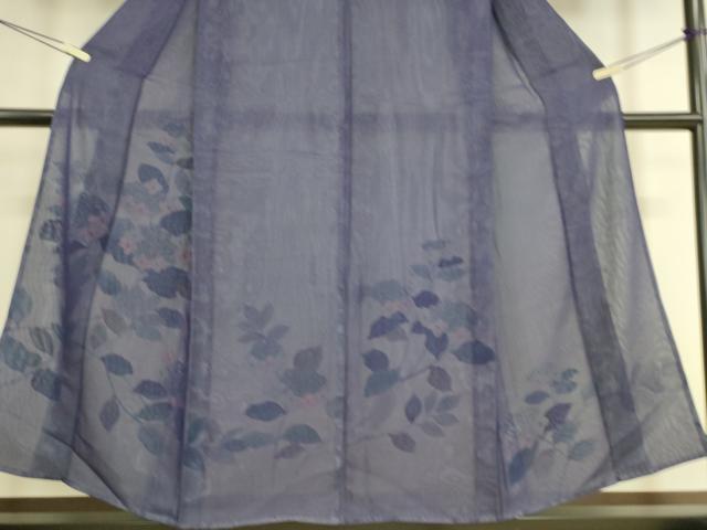 平和屋着物▽訪問着 無双 紗袷 紗×絽 草花文 正絹 逸品 DAAS0748az