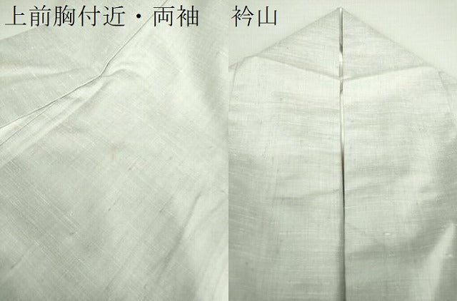 平和屋着物●訪問着 紬地 魚 間道 海老 鯛 河豚 蟹 正絹 逸品 DAAS3032ps