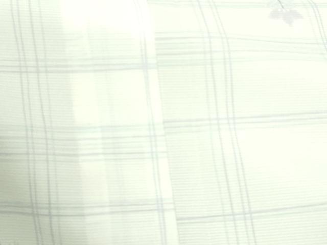 平和屋着物*夏物 小紋 絽 草花文 洗える着物 DAAQ4541sfm