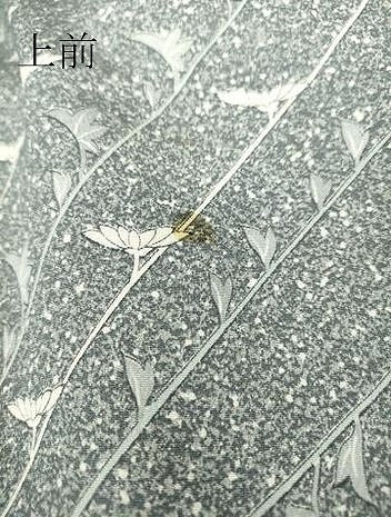 平和屋着物▽上質な小紋 単衣 たたき染め 裏菊 正絹 逸品 DAAT9919az