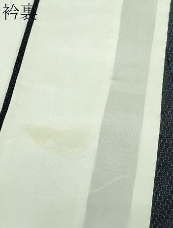 平和屋着物▽本塩沢 単衣 110亀甲 菱文 正絹 逸品 DAAU6371sf