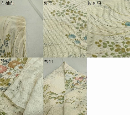 平和屋着物*夏物 小紋 絽 風景草花文 正絹 逸品 DAAV4273ud
