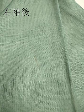 平和屋着物▽訪問着 無双 紗袷 紗×絽 草花文 金銀彩 三越扱い 正絹 逸品 DAAV5398az