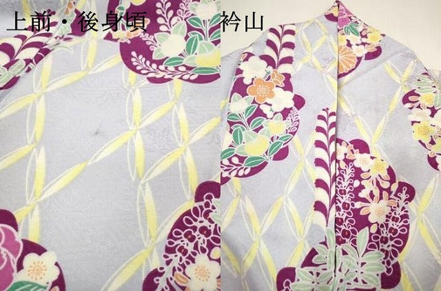 平和屋着物●小振袖 二尺袖 藤花房丸文 洗える着物 DAAW3832fe