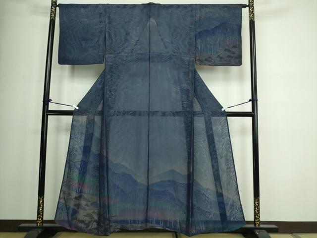 平和屋着物▽訪問着 無双 紗袷 紗×紗 風景文 暈し染め 正絹 逸品 DAAW9399sf