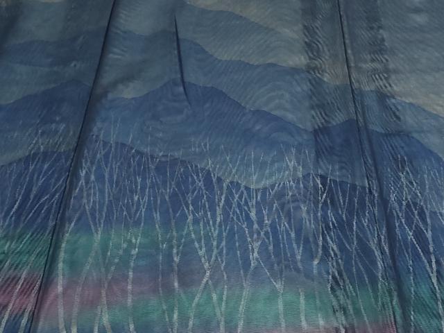 平和屋着物▽訪問着 無双 紗袷 紗×紗 風景文 暈し染め 正絹 逸品 DAAW9399sf