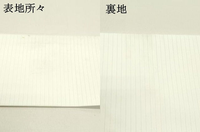 平和屋着物*夏物 九寸名古屋帯 手描き 紫陽花 DAAX5909cm