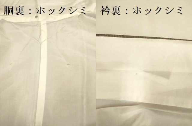 平和屋着物■上質な紬 舞葉文 正絹 逸品 DAAX8052du