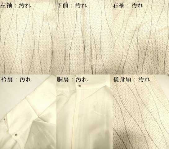 平和屋着物■上質な紬 立涌文 正絹 逸品 DAAX8491du