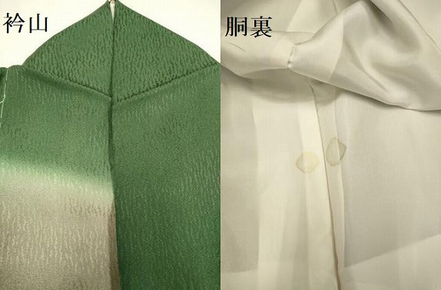 平和屋着物●訪問着 作家物 雀 スズメ 暈し染め 正絹 逸品 DAAY2496op