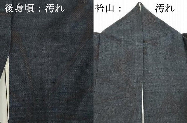 平和屋着物■上質な紬 舞花文 正絹 逸品 DAAY3753xg