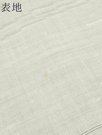 平和屋着物*夏物 長襦袢 反物 着尺 立波枝葉紋紗 生成り色 麻 逸品 未使用 DABA7720zzz
