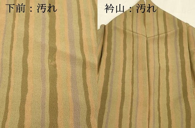 平和屋着物■上質な小紋 間道 鬼しぼ縮緬 正絹 逸品 DABB3038cm