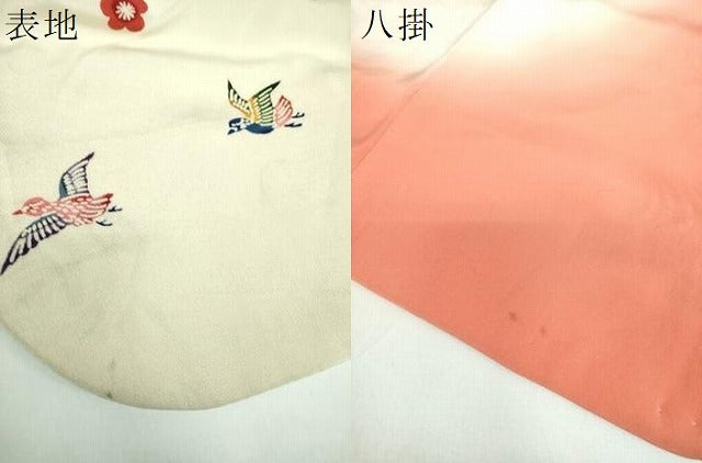 平和屋着物●豪華振袖 紅型 流水籬花鳥文 鬼しぼ縮緬 正絹 逸品 DABB4431ps