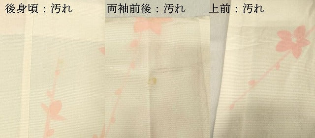 平和屋着物■長襦袢 無双仕立て 枝花文 正絹 逸品 DABB8562cd