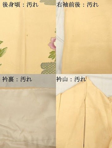 平和屋着物■訪問着 草花文 牡丹 金彩 正絹 逸品 DABC4907cd