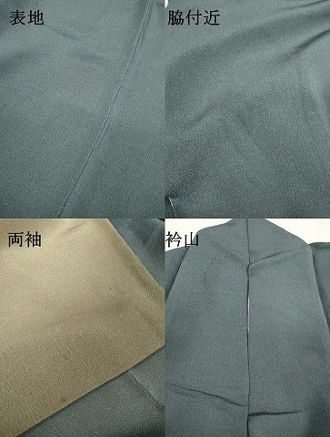平和屋着物▼訪問着 霞文 暈し染 鬼しぼ縮緬 正絹 逸品 DABC6743fe
