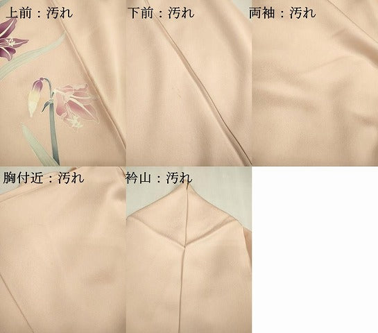 平和屋着物■訪問着 友禅 草花文 正絹 逸品 DABC6870fe