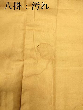 平和屋着物■上質な紬 吉祥花文 胴抜き仕立て 正絹 逸品 DABC7832ya