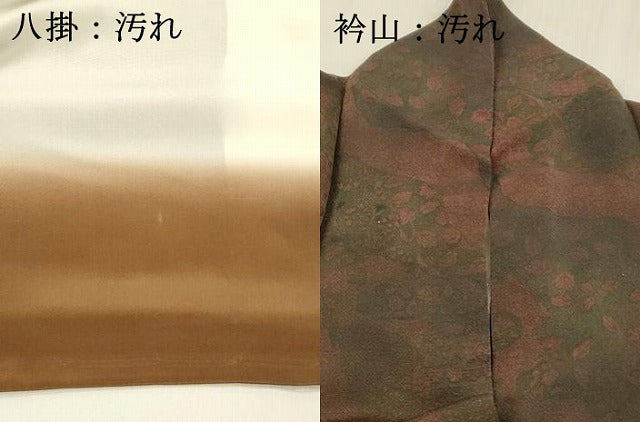 平和屋着物■上質な小紋 草花文 鬼しぼ縮緬 正絹 逸品 DABC8478cm