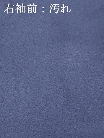 平和屋着物■訪問着 風景笹の葉文 暈し染め 金彩 正絹 逸品 DABC8721cm
