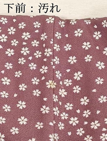 平和屋着物■上質な小紋 舞桜文 正絹 逸品 DABD2637cd