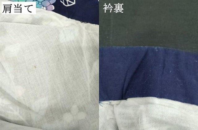 平和屋着物∴夏物 浴衣 注染 草花文 綿 逸品 DABD2897cd